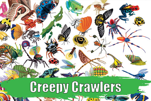 Pacific Northern Academy, Create Academy, Summer Camps